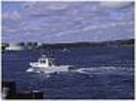 Sandwich Marina 2