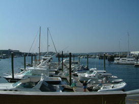Enos Marine at Pier 7 Marina