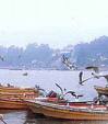 Caleta Los Baños