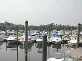 Columbia Island Marina 2