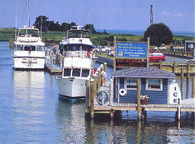 Knapps Narrows Marina 4