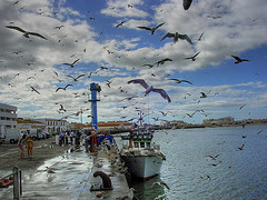 Isla Manuel