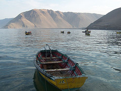 Caleta Ricardo