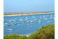 Caleta Olea