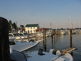Pelorus Yachting Center