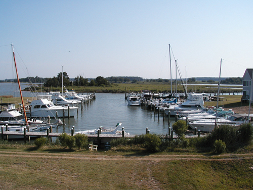 Tilghman Island Marina