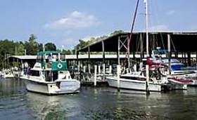 Tolchester Marina 2