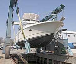 Tolchester Marina 3