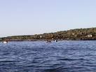 Caleta Hassler