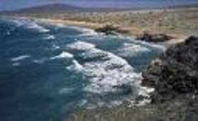 Bahia San Quintin 1