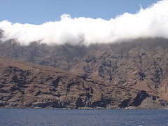 Isla Guadalupe (South Anchorages )(1)