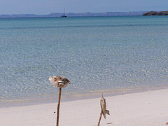 Bahia San Gabriel