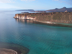 Isla Gallo