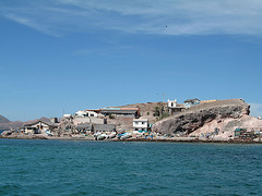 Isla Coyote