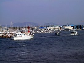Porto Viareggio spa 1