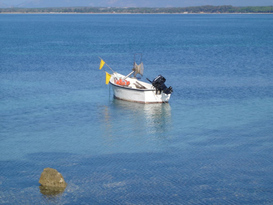 Porto Conte Marina 5