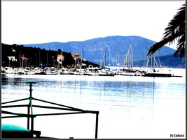 Porto Conte Marina 7