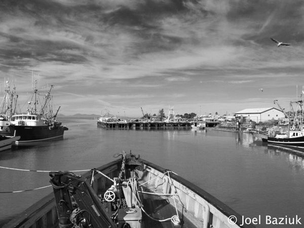 Steveston Harbour Authority