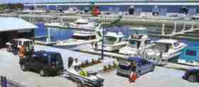 Gold coast City marina 4