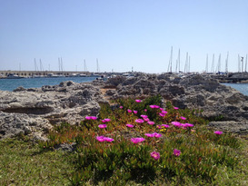 Marina di San Foca 4