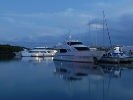 The Reef Marina - Port Douglas 5