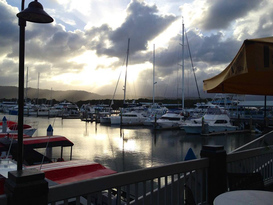 The Reef Marina - Port Douglas 7