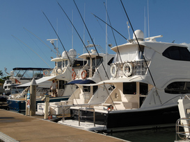 The Reef Marina - Port Douglas 8